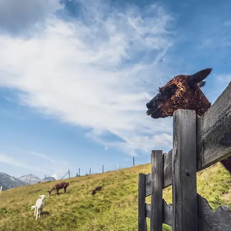 Rinerlodge By Mountain * 达沃斯