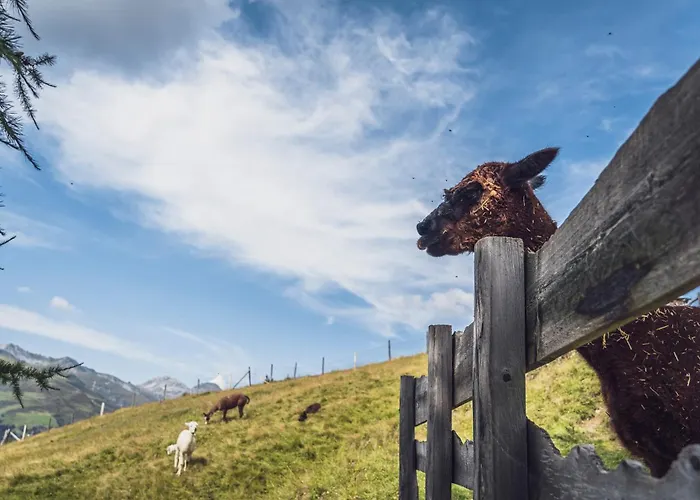 Rinerlodge By Mountain * 达沃斯